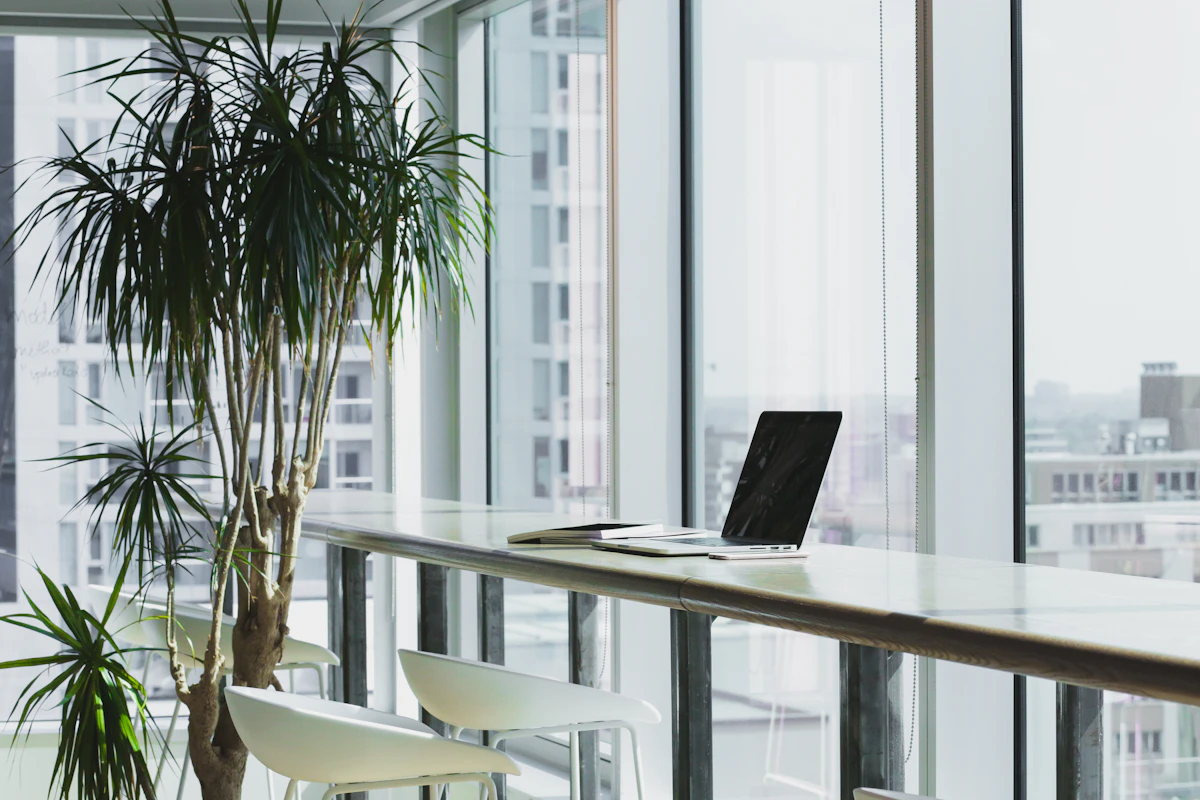Laptop on a bright desk beside a tall indoor plant and large windows